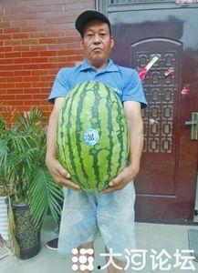 51今日大瓜 热门大瓜每日必吃大瓜,热门大瓜每日必吃，揭秘娱乐圈最新动态