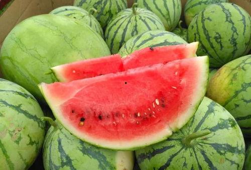 今日吃瓜热门大瓜每日更新,紧跟热门大瓜，揭秘娱乐圈最新动态