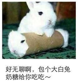 最近热门事件合集吃瓜兔 每日爆料大赛精彩内容,热门事件合集深度解析